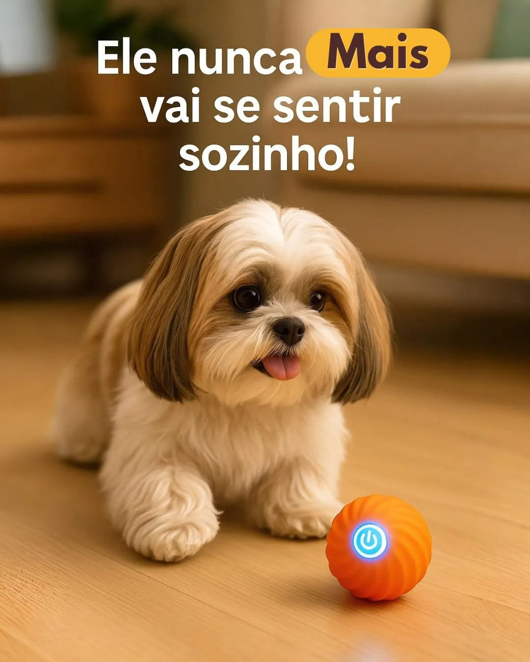bolinha3_1600x.webp?v=1757521343
